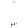 StarTech.com TV Ceiling Mount - Full-Motion Universal Hanging Single Screen Mount with Adjustable Telescopic Long Pole - Tilt / Swivel - VESA Bracket for 32”-75 inch Displays