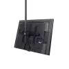 StarTech.com TV Ceiling Mount - Full-Motion Universal Hanging Single Screen Mount with Adjustable Telescopic Long Pole - Tilt / Swivel - VESA Bracket for 32”-75 inch Displays