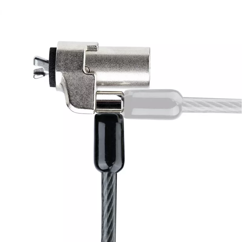 StarTech.com Laptop Cable Lock Compatible With Noble Wedge®; 6Ft (2m), Anti-Theft Keyed Lock, Security Cable for Dell XPS/Latitude/2-in-1 Notebooks, Cut-Resistant, Steel Cable Lock For Laptop