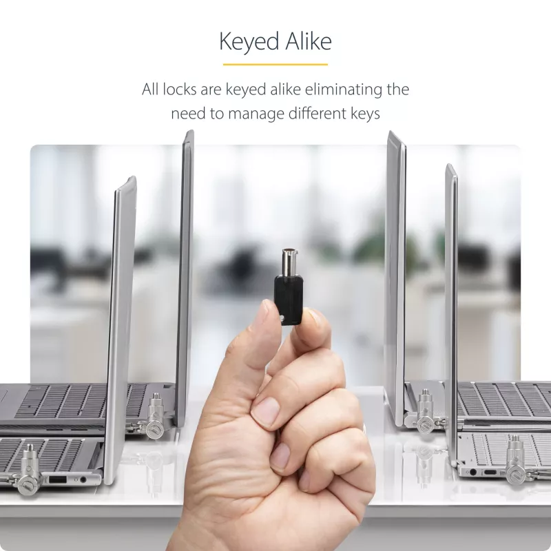 StarTech.com 25-Pack Universal Laptop Lock 6.6ft, Keyed Alike Locking Cable, Security Cable, Compatible w/Noble Wedge®/Nano/K-Slot, Anti-Theft Cut-Resistant Cable