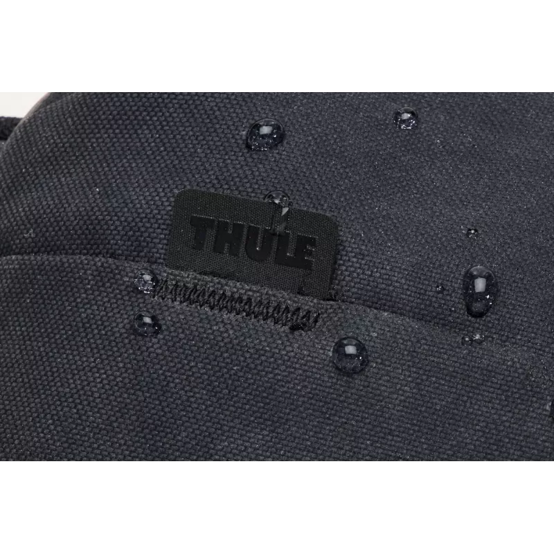 Thule Aion TASB102 - Black waist bag Polyester