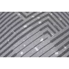 Thule Paramount TPRC130 - Silver Backpack rain cover Nylon 30 L