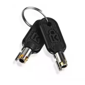 Lenovo 4Z10P40249 cable lock accessory Key Grey