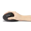 Mouse Kensington Pro Fit Ergo MY630 EQ RF Wireless Bluetooth USB Type-A