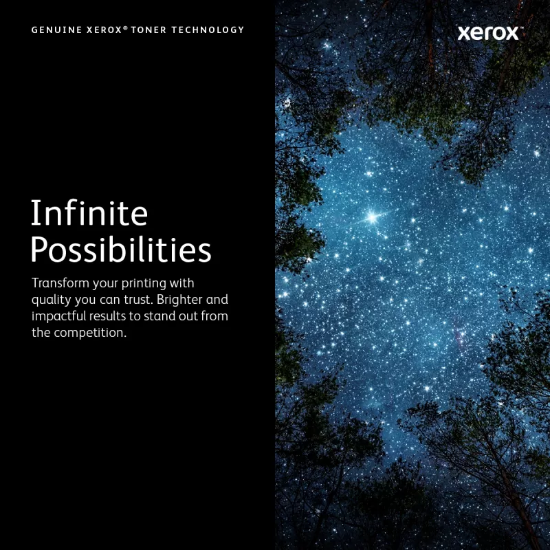 Xerox Genuine Phaser™ 3320 Black High capacity Toner Cartridge (11000 Pages) - 106R02307