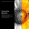 Xerox Genuine Phaser™ 6700 Magenta High capacity Toner Cartridge (12000 Pages) - 106R01508