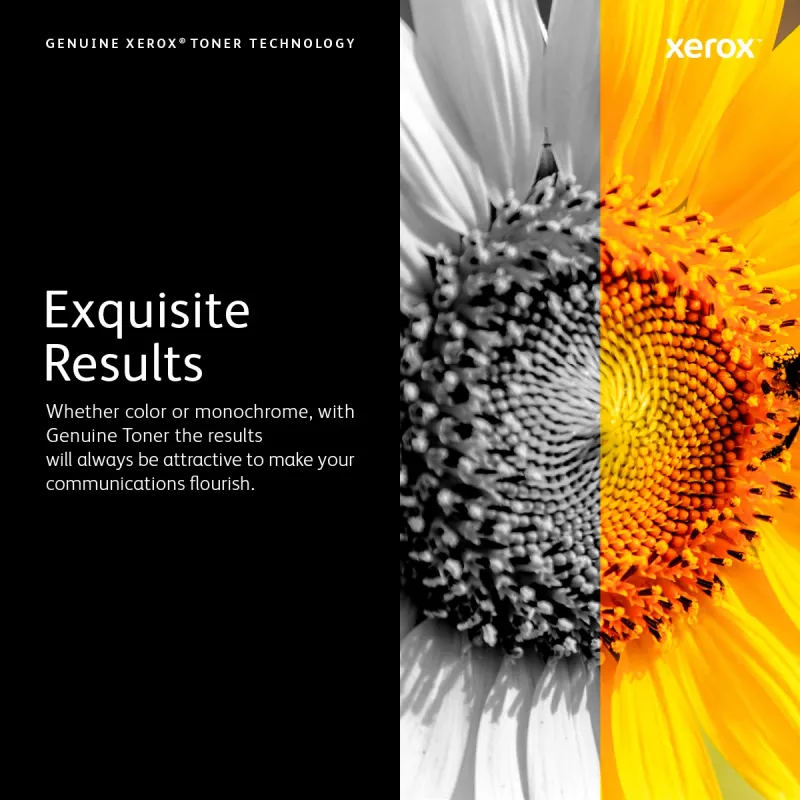 Xerox Cyan Toner, 8000 pages, Cyan, 1 pc(s)