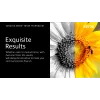 Xerox Genuine ® VersaLink® C7000 Color Printer Magenta High capacity Toner Cartridge (10100 Pages) - 106R03759