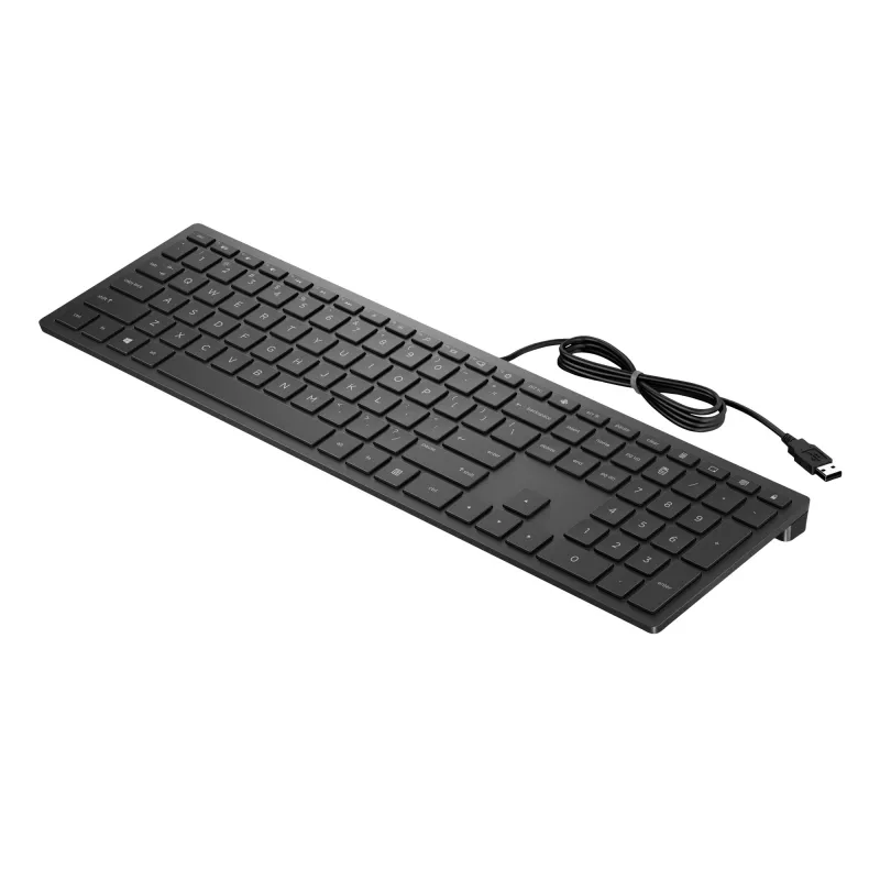 HP Pavilion Wired Keyboard 300, Full-size (100%), Wired, USB, Mechanical, Black