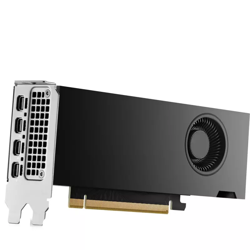 HP NVIDIA RTX 2000 Ada 16GB GDDR6 Graphics Card, 4x Mini DisplayPort (8D6B8AA)