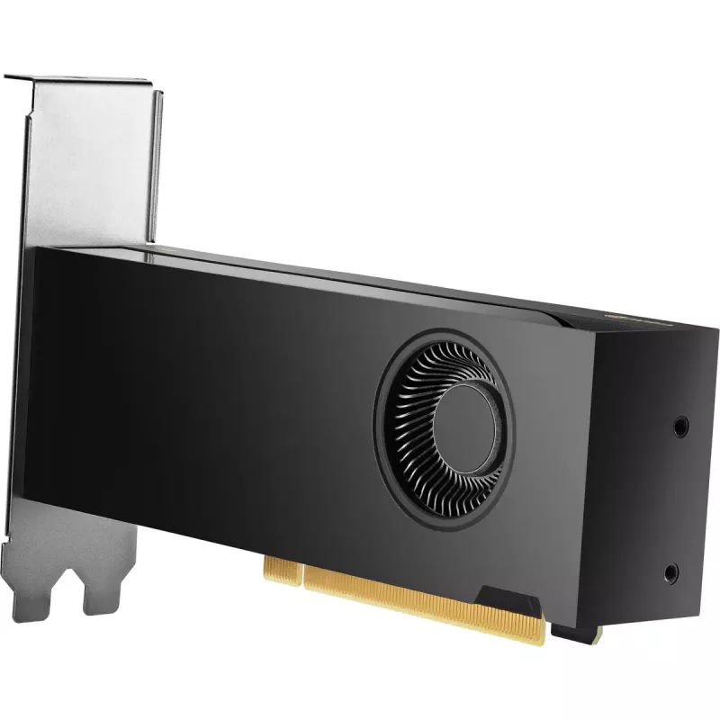 HP NVIDIA RTX 2000 Ada 16GB GDDR6 Graphics Card, 4x Mini DisplayPort (8D6B8AA)