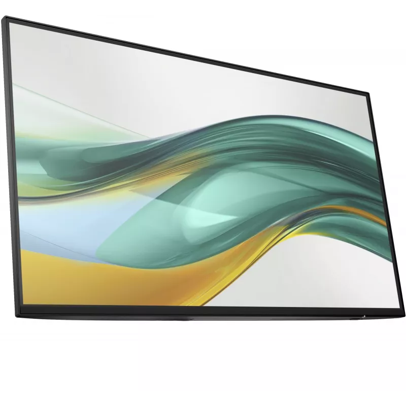 HP Series 5 Pro 23.8 inch FHD No Stand Monitor - 524pf