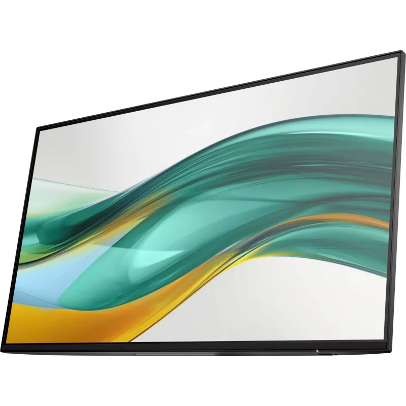 HP Series 5 Pro 23.8 inch FHD No Stand Monitor - 524pf