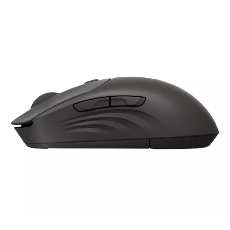 Wireless mouse HP 405 Quiet — ambidextrous, Optical 1200 DPI, RF Wireless + Bluetooth, 5 buttons, battery-powered, black