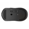 Wireless mouse HP 405 Quiet — ambidextrous, Optical 1200 DPI, RF Wireless + Bluetooth, 5 buttons, battery-powered, black