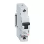 Legrand RX3 circuit breaker Miniature circuit breaker Type B 1