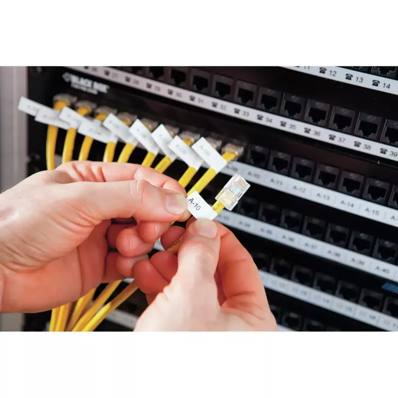 DYMO RHINO 4200 Industrial Label Maker | AZERTY Keyboard & Time-Saving Hot Keys | Durable Label Printer for Job Sites and Heavy-Duty Labelling Jobs