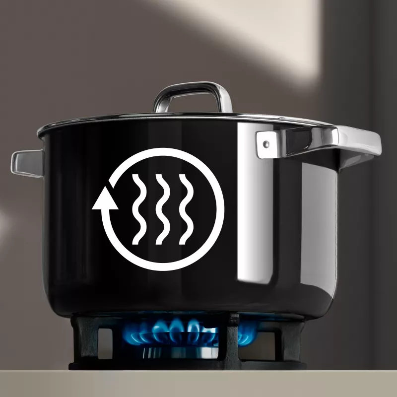 WMF 05.1869.5290 saucepan Black