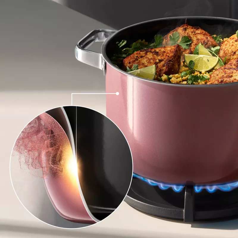 WMF 05.1895.5290 saucepan Rose