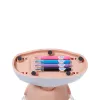 BABY born Styling Head Paint Artist, Makeup/Styling doll head, Female, 3 yr(s), Boy/Girl, Multicolour