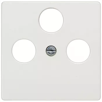 Siemens 5TG2548-2 wall plate/switch cover