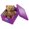 Leitz Click & Store WOW Medium Storage Box, Purple, Carton, 16.7 L, 281 mm, 200 mm, 265 x 335 x 188 mm