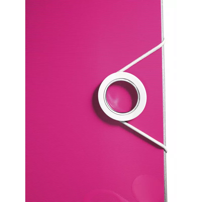 Leitz Lever Arch File Active PP WOW A4/80mm, A4, Polyfoam, Rose, 500 sheets, 80 g/m², 8.2 cm