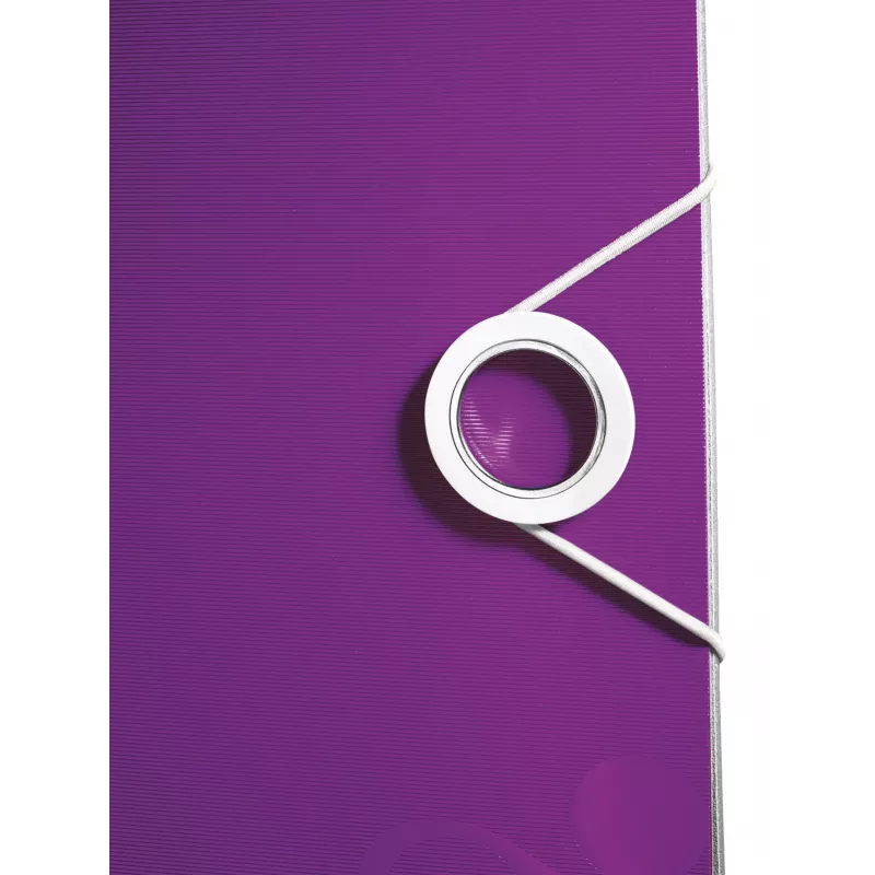 Leitz Lever Arch File Active PP WOW A4/80mm, A4, Polyfoam, Violet, 500 sheets, 80 g/m², 8.2 cm