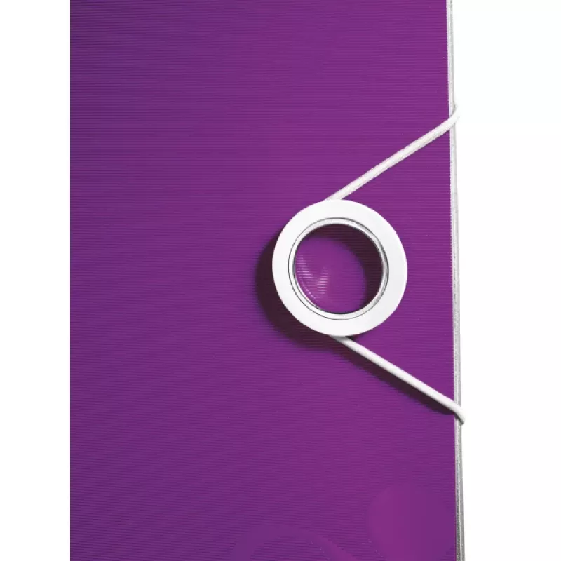 Leitz Lever Arch File Active PP WOW A4/65mm, A4, Polyfoam, Purple, 350 sheets, 80 g/m², 6.5 cm