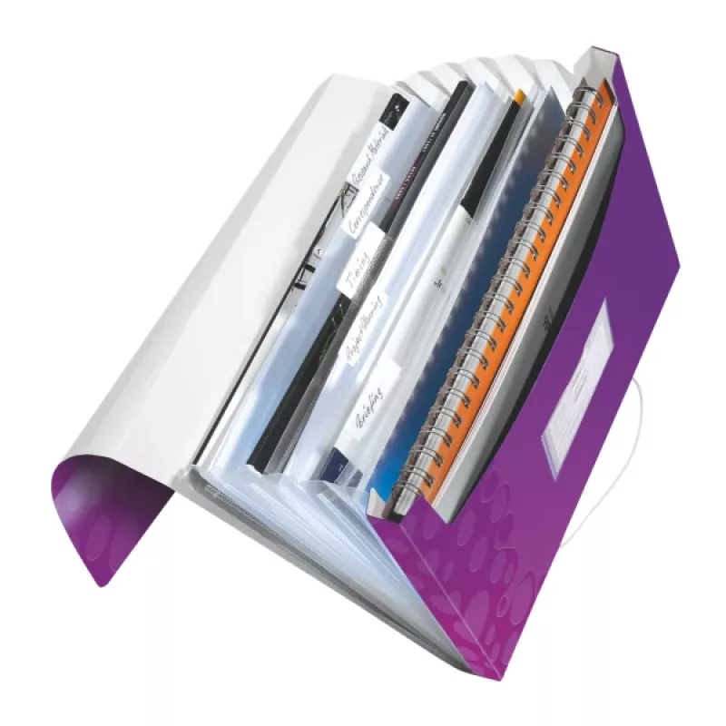 Leitz Project File WOW PP, A4, Polypropylene (PP), Purple, 200 sheets, 254 mm, 38 mm