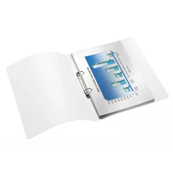 Leitz 42570023 ring binder A4 Metallic, Rose