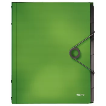 Leitz Divider Book Solid 6 tabs, Flap folder, A4, Polypropylene (PP), Green, 200 sheets, 80 g/m²