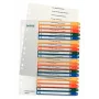 Leitz 12960000 tab index Numeric tab index Polypropylene (PP) Multicolour