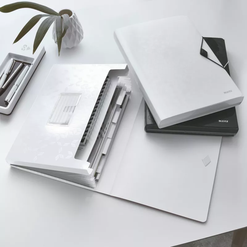 Leitz Project File WOW PP, Expanding file folder, A4, Polypropylene (PP), White, Landscape, 250 sheets