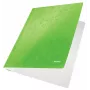 Leitz Flat File Card/Board WOW A4, Conventional file folder, A4, Carton, Green, Portrait, 250 sheets