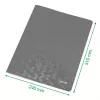 Leitz Flat File Card/Board WOW A4, Conventional file folder, A4, Carton, Green, Portrait, 250 sheets