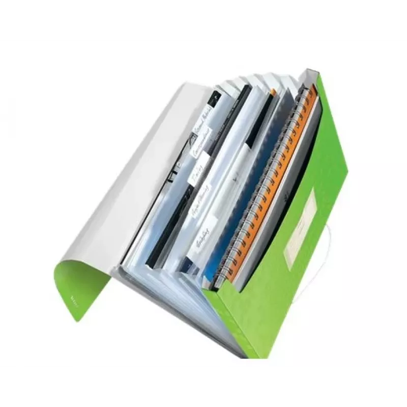 Leitz Project File WOW PP, A4, Polypropylene (PP), Green, Portrait, 250 sheets, 80 g/m²