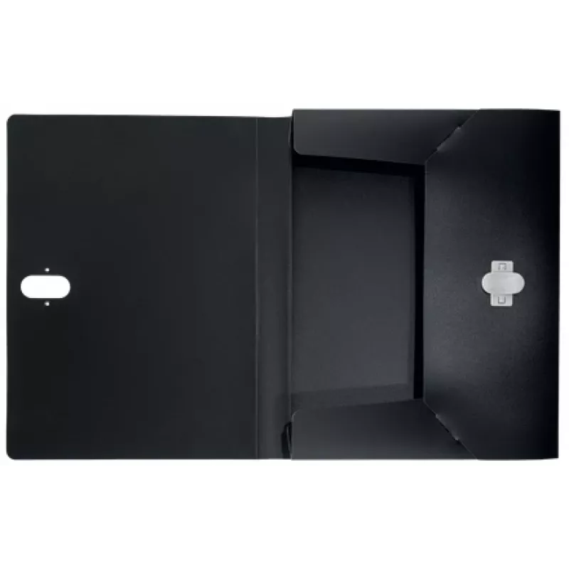 Leitz Recycle Box File, Signature folder, A4, Polypropylene (PP), Black, Matt, 250 sheets