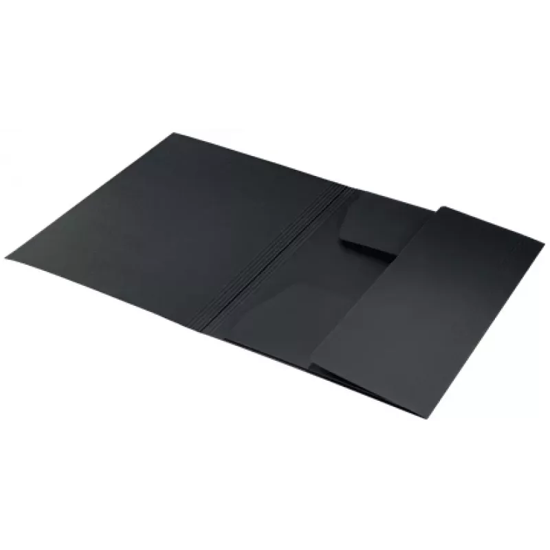 Leitz Recycle Card 3-Flap Folder, Conventional file folder, A4, Carton, Black, Matt, 250 sheets