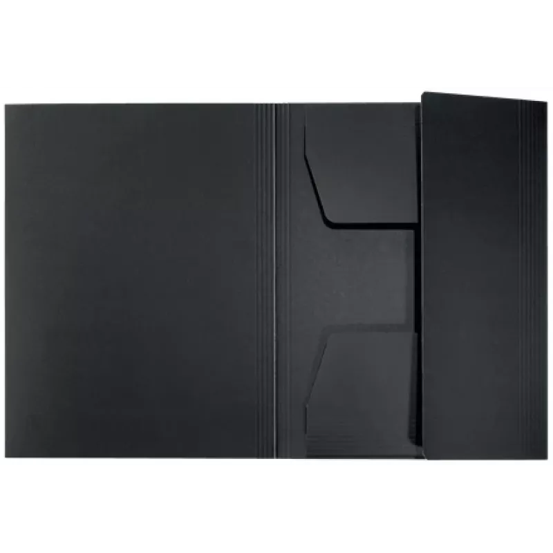 Leitz Recycle Card 3-Flap Folder, Conventional file folder, A4, Carton, Black, Matt, 250 sheets