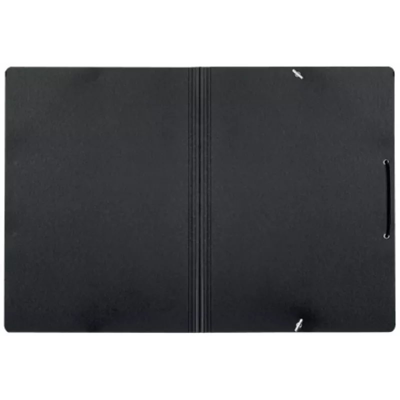 Leitz Recycle Card Folder with elastic bands, Signature folder, A4, Carton, Black, Matt, 250 sheets