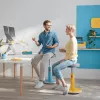 Leitz Ergo Cosy Active Sit Stand Stool 2 in1