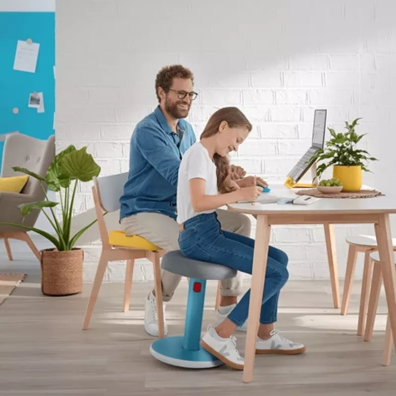 Leitz Ergo Cosy Active Sit Stand Stool 2 in1