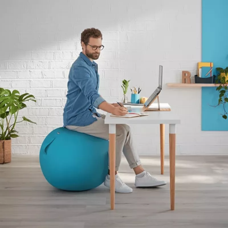 Leitz Ergo Cosy Active Sitting Ball
