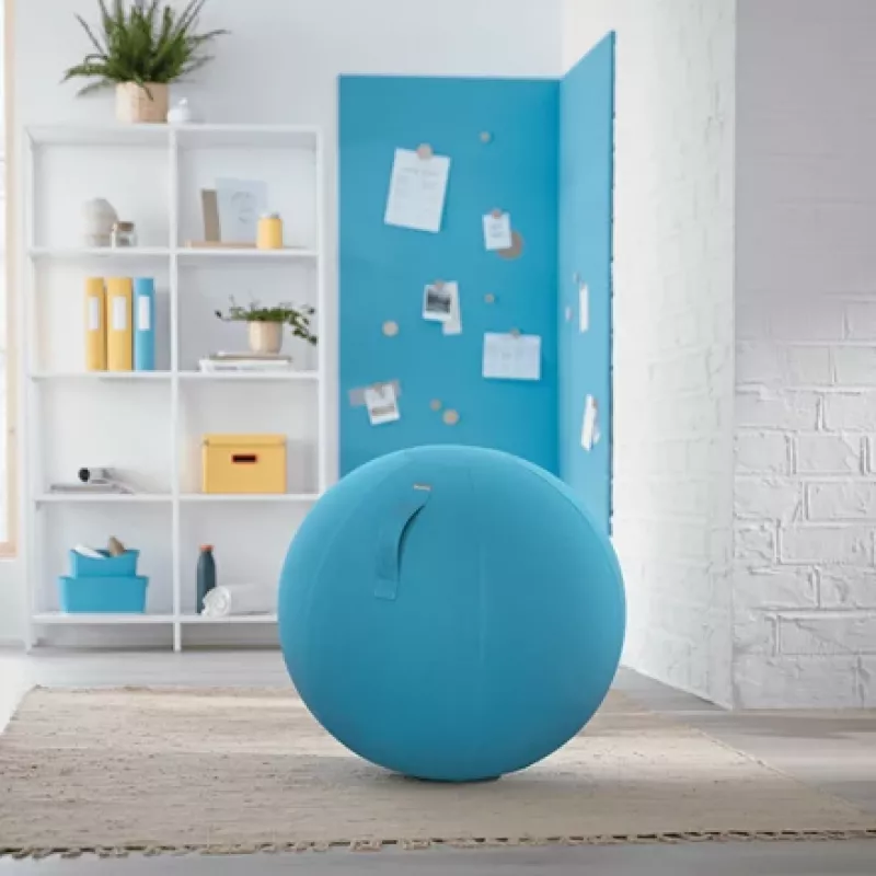 Leitz Ergo Cosy Active Sitting Ball