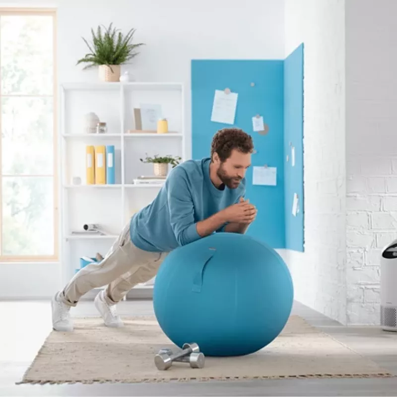 Leitz Ergo Cosy Active Sitting Ball