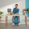 Leitz Ergo Cosy Active Sitting Ball