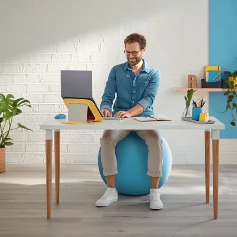 Leitz Ergo Cosy Active Sitting Ball
