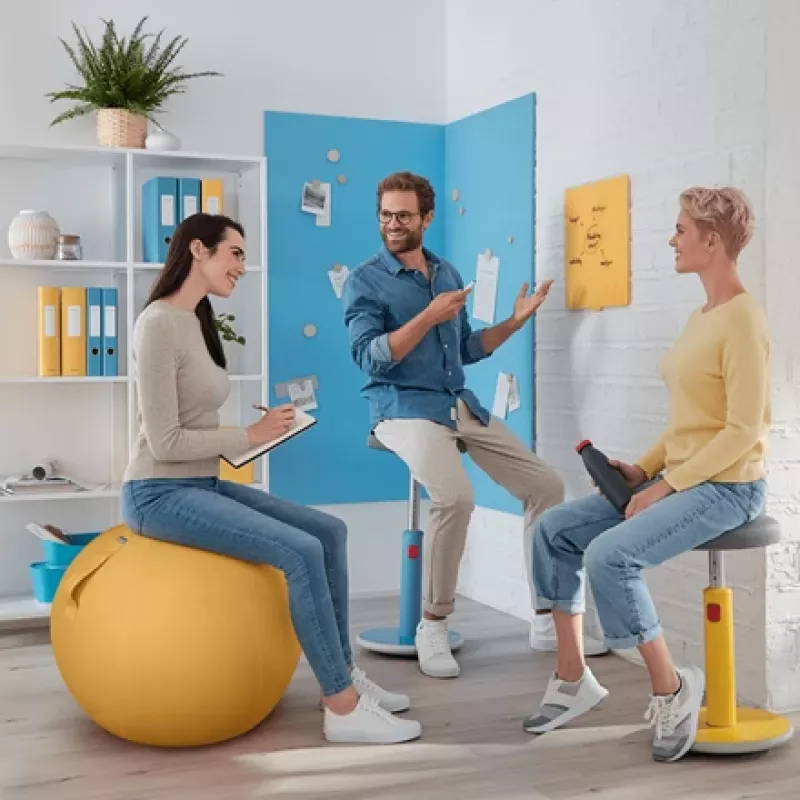 Leitz Ergo Cosy Active Sitting Ball