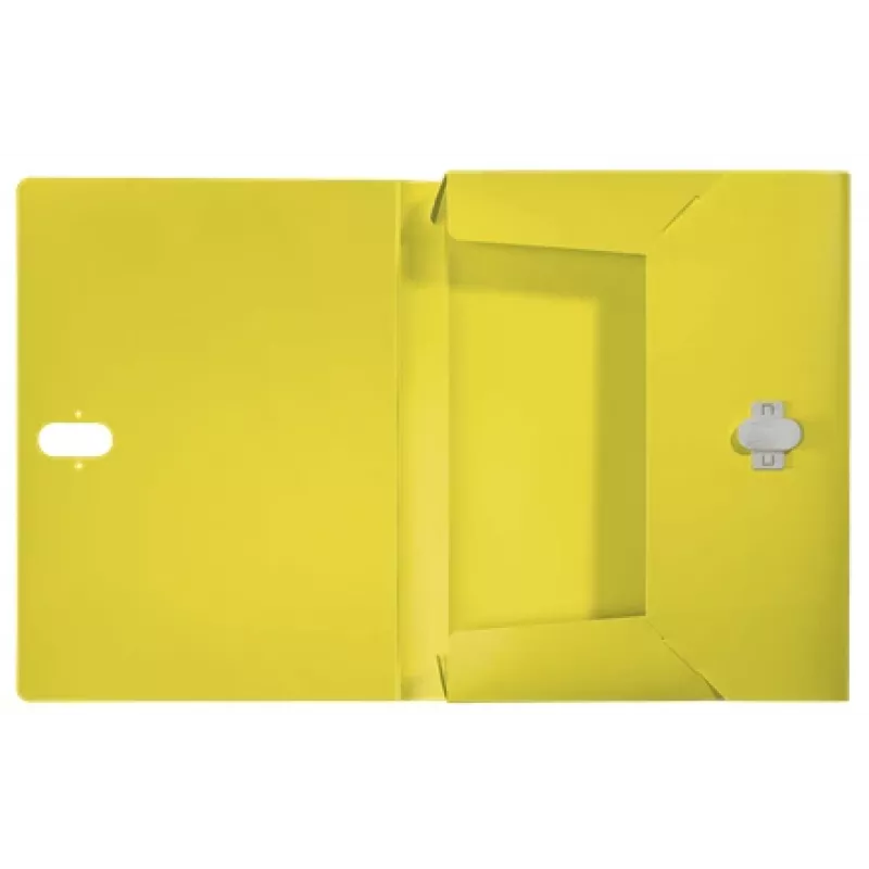 Leitz Recycle Box File, Conventional file folder, A4, Polypropylene (PP), Yellow, Landscape/Portrait, 250 sheets